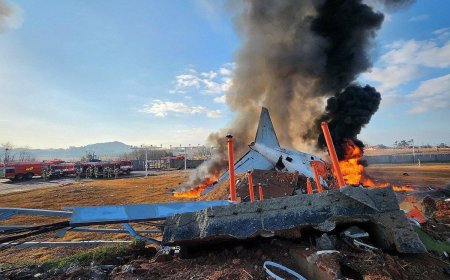 दक्षिण कोरिया में विमान दुर्घटना: मुआन एयरपोर्ट पर हादसा, 96 की मौत की पुष्टि